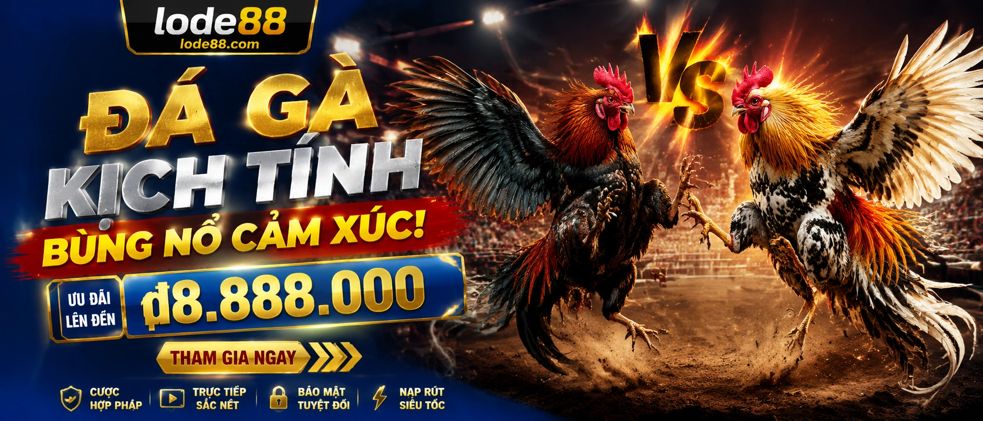 Đá Gà lode88 live experience